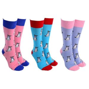 socks-cats