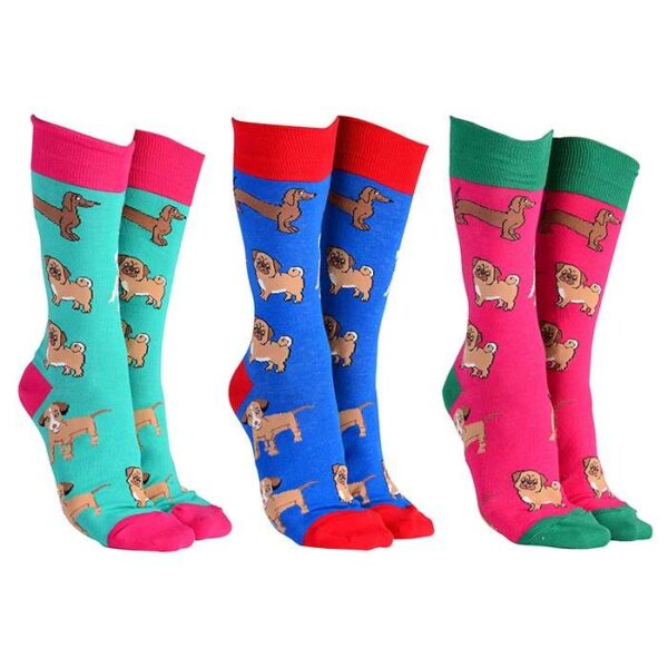 socks-dogs