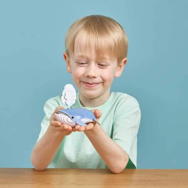 Blue-Whale-Boy-lifestyle-ENJOY-web Blue-Whale-Boy-lifestyle-ENJOY-web