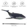The Snail & The Whale