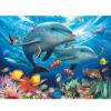 500-piece-jigsaw-puzzle-dolphin--sea-ceatures