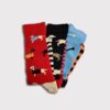 dog socks together-min