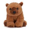 eco-earth-brown-bear
