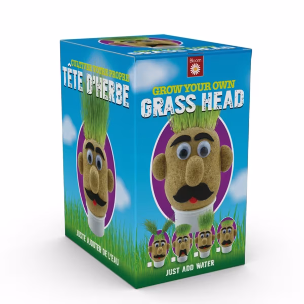 Grass-Head-Box Grass-Head-Box