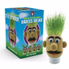 Grow-Your-Own-Grass-Head