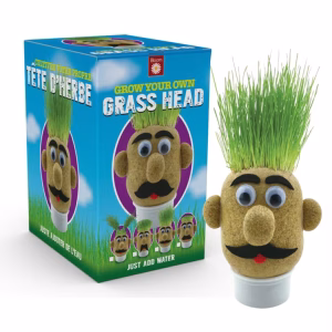 Grow-Your-Own-Grass-Head