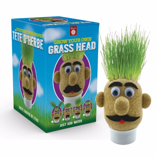 Grow-Your-Own-Grass-Head Grow-Your-Own-Grass-Head