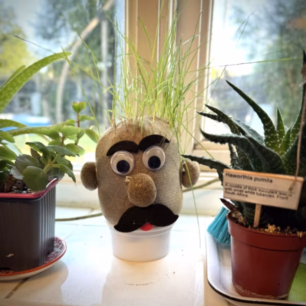 Grow-Your-Own-Grass-Head-Open Grow-Your-Own-Grass-Head-Open